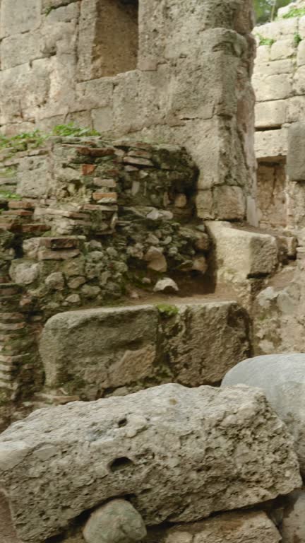 Vertical video. Panorama of ancient Greek houses, ruined walls in the overgrown pine forest. A woman with an orange backpack enjoys exploring ancient history. Panoramic view.