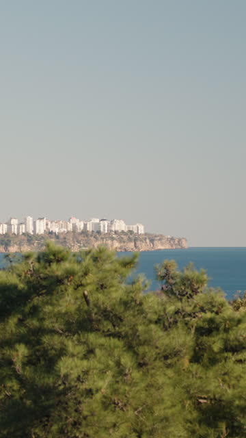 Vertical video. Panorama of the sea and a city on a cliff from a high vantage point, with treetops against the backdrop of a sunny day.