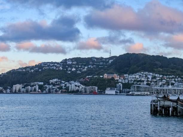 istock Wellington Harbour at Sunset 2079575568