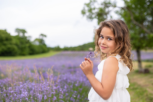 Portrait of a blonde girl in a girl's dress in a lavender field, picking lavender flowers and holding a bouquet of lavender flowers in her hands. He is looking at the camera.