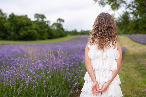 Portrait of a blonde girl in a girl's dress in a lavender field, picking lavender flowers and holding a bouquet of lavender flowers in her hands. He is looking at the camera.