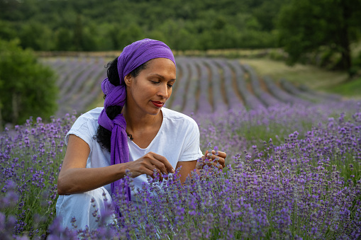 A Latina woman with a purple headscarf and a hat is holding a bunch of lavender in the middle of a lavender field at sunset.