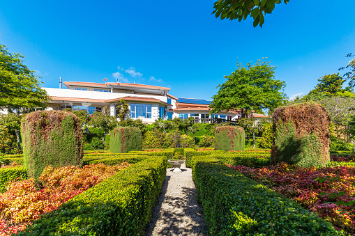 Wellington, New Zealand - November 12, 2023: Aston Norwood Cafe's Beautiful Garden, a Serene Retreat Amidst Nature's Splendor