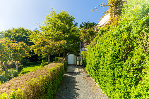 Wellington, New Zealand - November 12, 2023: Aston Norwood Cafe's Beautiful Garden, a Serene Retreat Amidst Nature's Splendor