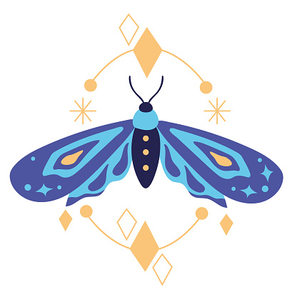 blue butterfly alchemy doctrine icon