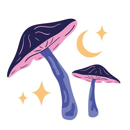 fungus and moon alchemy doctrine icon