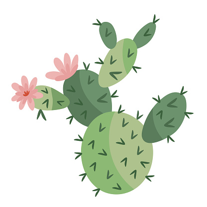 green cactu with flowers icon