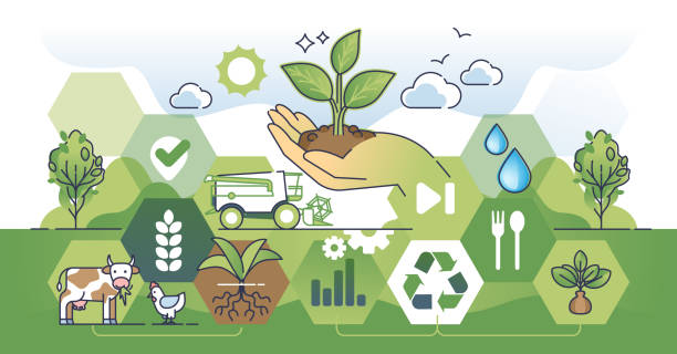 istock Regenerative agriculture for soil fertility protection outline concept 2079654930