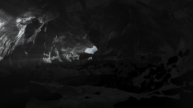 Polar bear walking in Dark cave