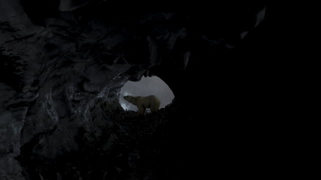 Polar bear stands in dark cave with stormy weather