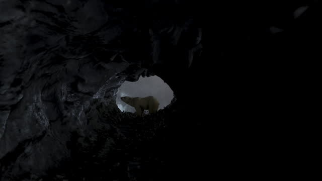 Polar bear stands in dark cave with stormy weather outside