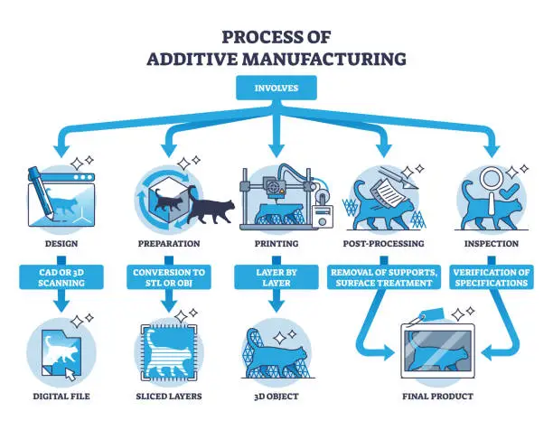 Vector illustration of Process of additive manufacturing and 3D printing stages outline diagram