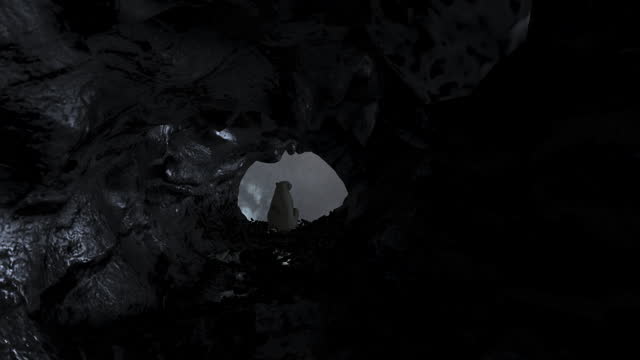 Polar bear sitting stands in dark cave with stormy weather outside