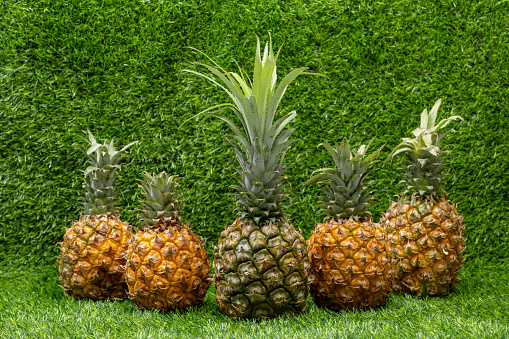 Pineapple on the grass