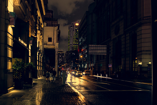 The city's evening allure is captured in the reflective wet streets and the vibrant life amidst historic architecture.