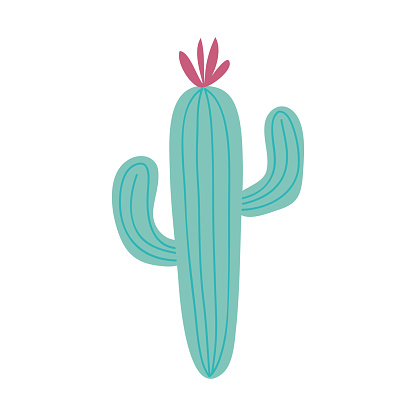 cactus plant desert nature icon