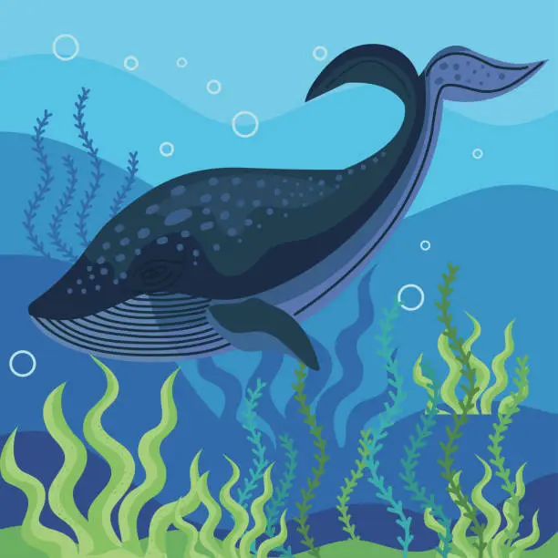Vector illustration of wild whale undersea