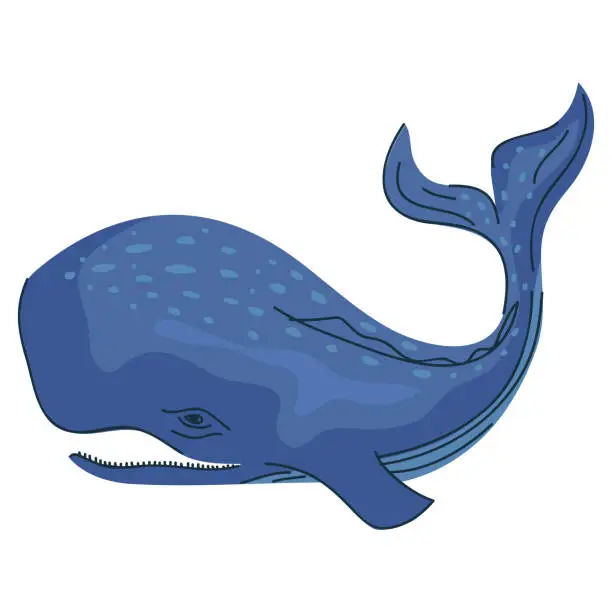 Vector illustration of blue wild whale fish