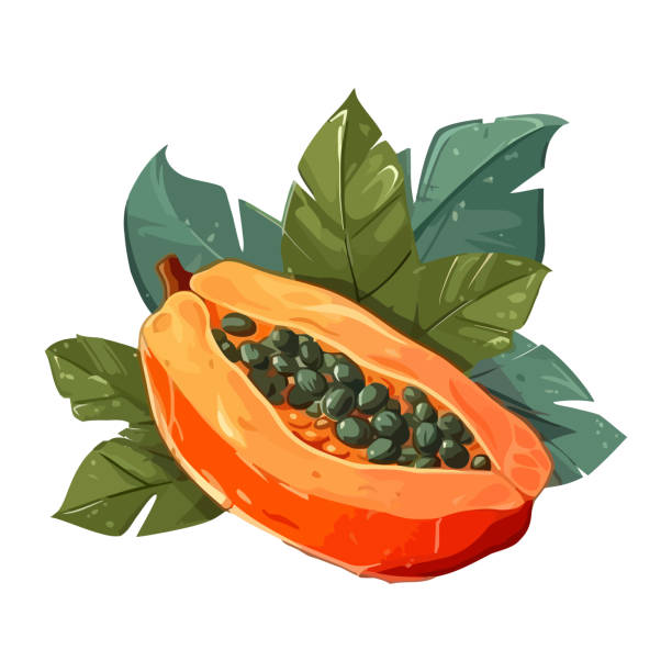 istock Juicy papaya slice, fresh from tropical farm 2079779862