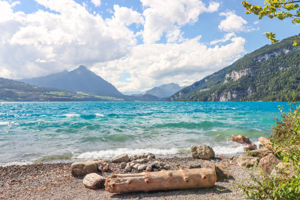 Lake thun, Thunersee, Interlaken-Oberhasli, Bern, Switzerland