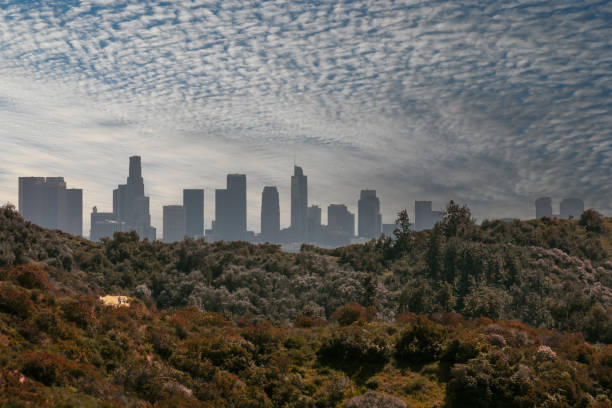 A beautiful silhouette view of downtown Los Angeles