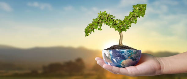 istock Globe ,earth in human hand, holding. Earth image provided by Nasa 2079794815