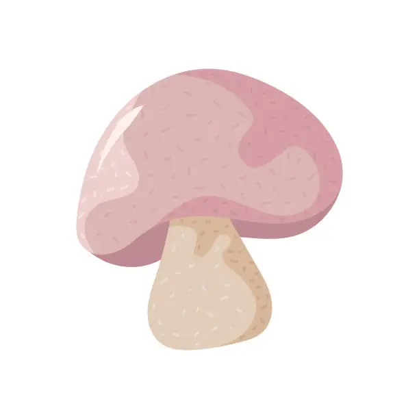 Vector illustration of mushroom fresh icon