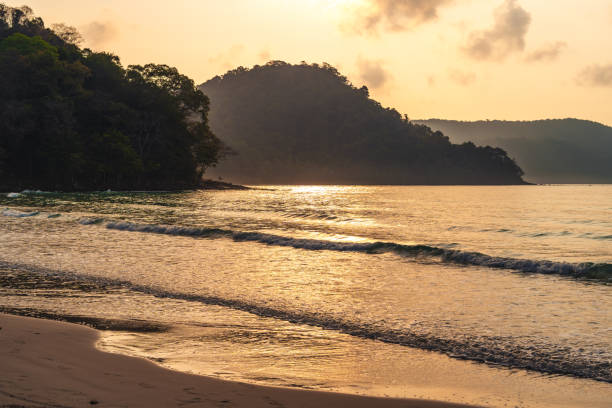 istock Palm-tree beaches and relaxation areas on the island 2079883029