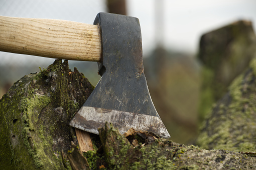Black hatchet with a wooden handle lodged upright into a piece of wood or tree stump