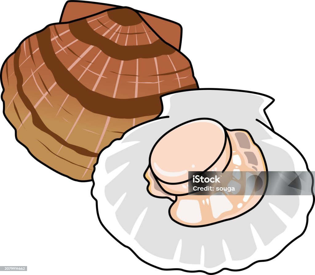 Scallops Graphics Scallops Stock Illustration - Download Image Now - Fish Market, Fish ...