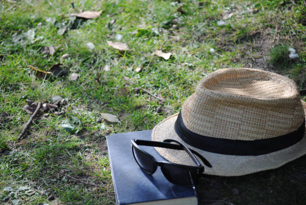 reading afternoon in the park