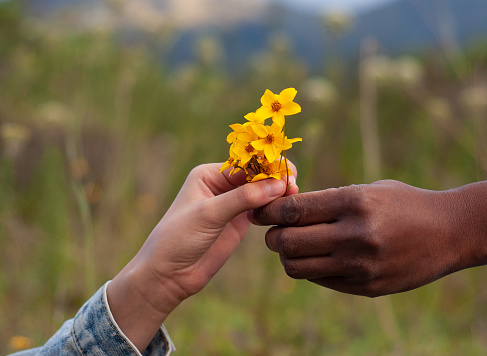 closeup of the connection between two hands, one white and one black holding a small bouquet of vibrant yellow flowers.