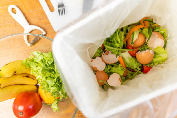 istock Ecology compost supply Kitchen waste recycling composter environmentally friendly. Fruit peel egg shell and vegetables reduce waste 2080010253