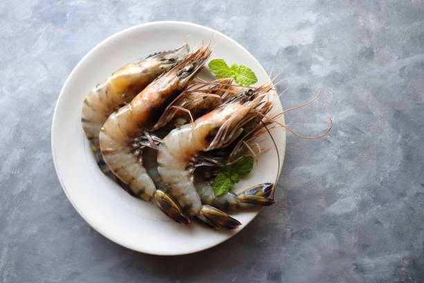 crevettes fraîches ou crevettes tigrées noires. non cuit sur une assiette en céramique blanche avec des feuilles de coriandre et de menthe. sur un fond maussade avec un espace de copie. kolambi en marathi. - black tiger shrimp photos et images de collection