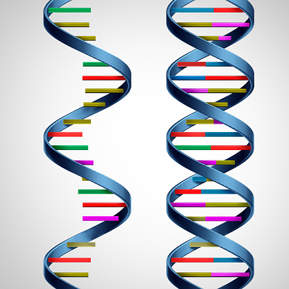 RNA And DNA concept as a deoxyribonucleic acid or a ribonucleic acid as biological molecules as a symbol of the evolution of life and genetic sequencing.