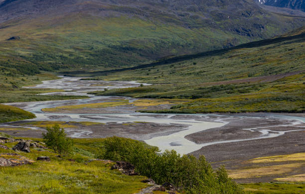 istock A beautiful Rapa river Rapadalen landscape with native plants. A mountain river from above in Sarek National Park, Sweden. 2080043779