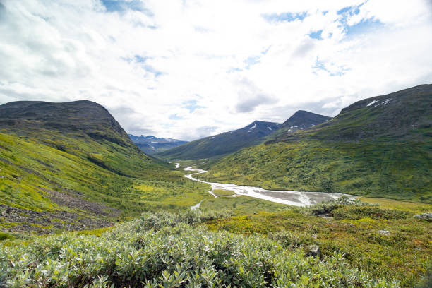 istock A beautiful Rapa river Rapadalen landscape with native plants. A mountain river from above in Sarek National Park, Sweden. 2080043792
