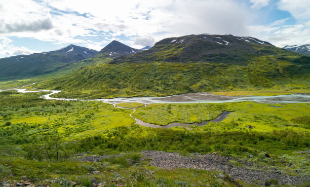 istock A beautiful Rapa river Rapadalen landscape with native plants. A mountain river from above in Sarek National Park, Sweden. 2080043799