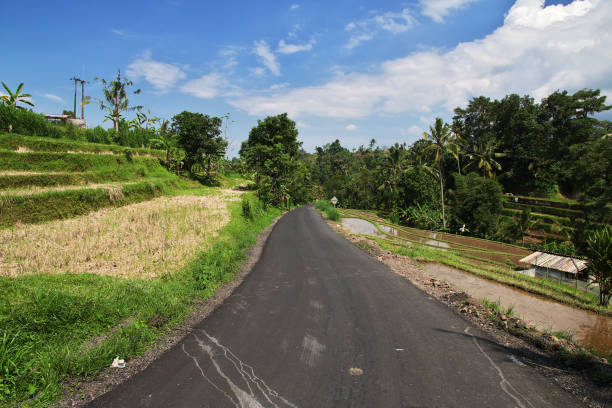 istock The rice terraces on Bali, Indonesia 2080060028
