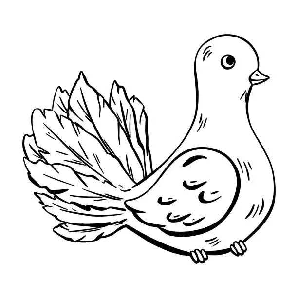 Vector illustration of A black and white sketch of a pigeon with a long tail