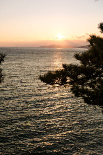 istock Katsurahama beach at dusk 2080126791