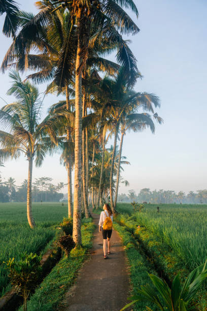 istock Woman walking in coconut tree grove on tropical island 2080202983