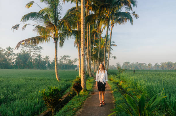 istock Woman walking in coconut tree grove on tropical island 2080203216
