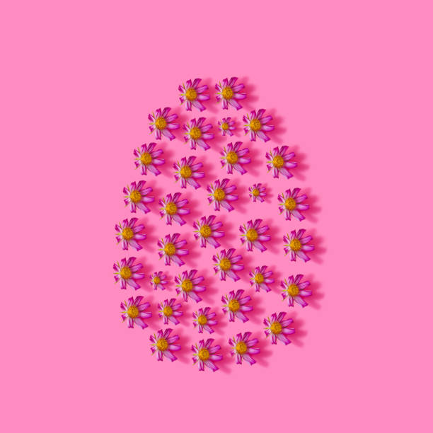 Easter creative concept. Pink flowers on pink background. Creative color background, top view, copy space