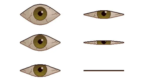 Vector illustration of Pixel art eye. Set of blinking, open and closed eyes. 8-bit retro video game style. Vector illustration.