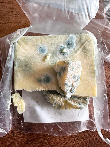 Stock photo showing mouldy dairy product with furry white and blue mould growing on surface of food. Spoiled cheese can produce harmful bacteria, such as brucella, E. coli, listeria,  and salmonella. Food poisoning concept.