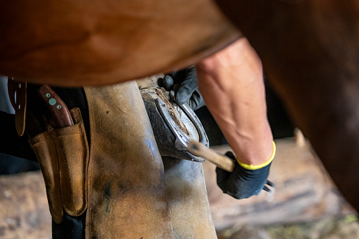 A blacksmith is working with horseshoe