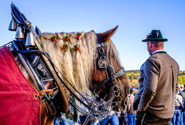 Bad Toelz, Germany - November 6: Participants in the annual Leonhardi procession wearing traditional clothing in historic box wagons at the old town of Bad Toelz on November 6, 2023
