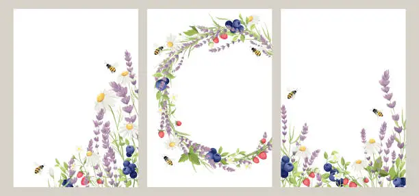 Vector illustration of Birthday, Wedding or Summer festival invitation cards.