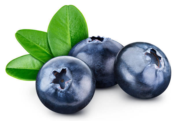 istock Blueberry fruit with orange slices and leaves isolated 2080285101